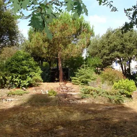 La Hulotte, Entre Et Foret -- Draps Et Serviettes Non Fournis -- * Saint-Trojan-les-Bains